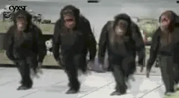 200.gif
