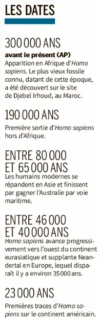 homo_sapiens_ma.png