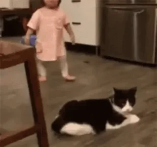 cat-child.gif