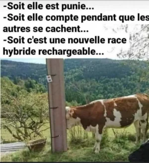 34CBA526-B535-40C8-A0DD-387289887EF8.jpeg