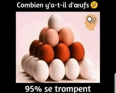 FB_IMG_1645539865360.jpg