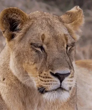giphy (13).gif