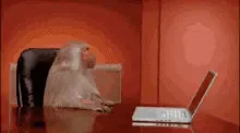 work-office-monkey.gif
