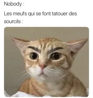 1646056076272.jpeg