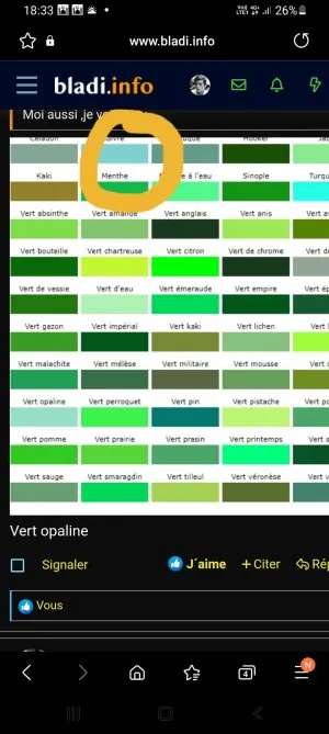 Screenshot_20220301-183320_Samsung Internet.jpg