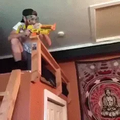 giphy (2).gif