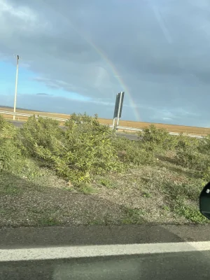 6297282B-4FFA-4D16-B0E3-86823588317F.jpeg
