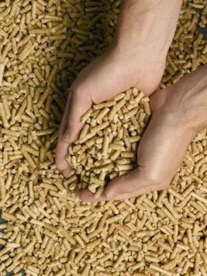 pellets_mains.jpg