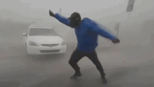 wind-windy.gif