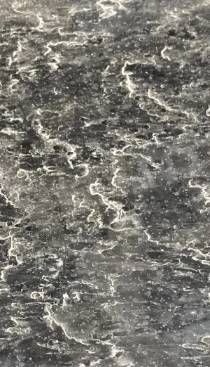 53360B4D-6936-4ED2-B9D6-44A142F9BEF5.jpeg