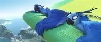 images.jpg