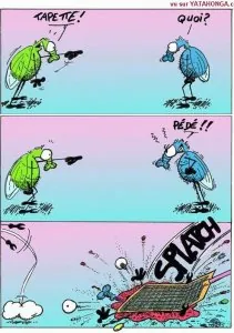 mouches_tapette.jpg