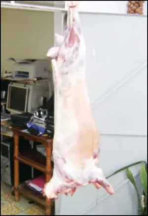 viande426029_320898747952532_1492486404_n.jpg