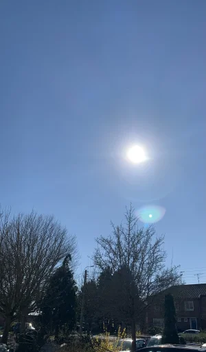 7DC39568-E2AE-457A-BC73-361A39830162.jpeg