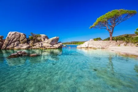 palombaggia.jpg