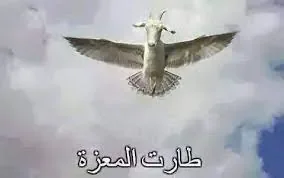 1648450982663.jpeg