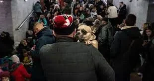 g (9).jpg