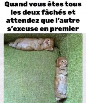 FB_IMG_1649157083235.jpg