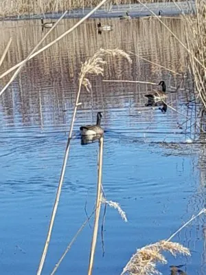 20220405_131606.jpg
