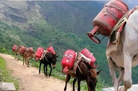 Livraison de Gaz.jpg