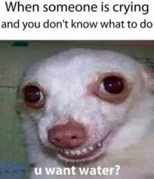 B8A56288-A2C0-4542-AA24-F6E9FEAA0797.jpeg