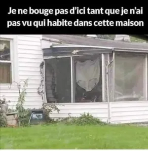 FB_IMG_1650433989811.jpg