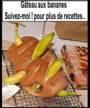 1650439032762.jpeg