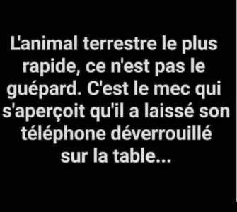 FB_IMG_1650517025014.jpg