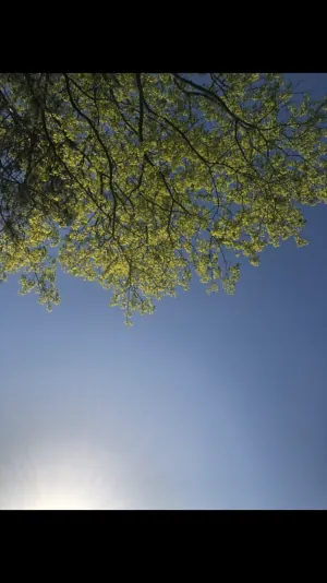 1650537932358.png