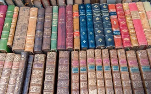 livres-ancienrs-dijon.jpg