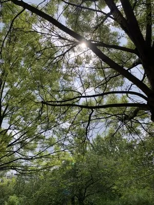 5785F02B-F17E-40BC-847E-CF9E1BB48AD1.jpeg