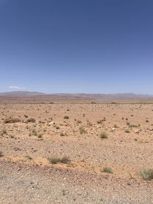 5153D569-09F4-48F7-B1EB-74190605D767.jpeg