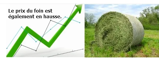 1651953945138.png