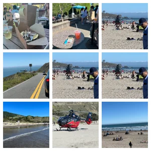 stinson-collage.png