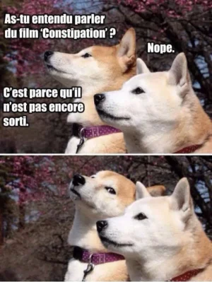 64739560-51FF-4EE9-A744-5538930AE06A.jpeg