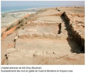 sididriss1.jpg
