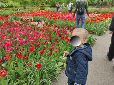 parc.jpg