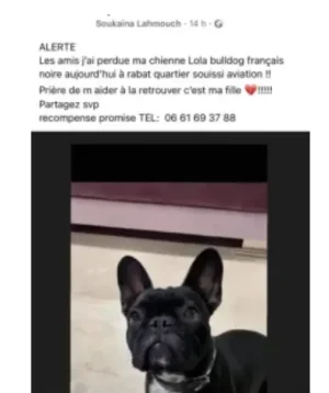 1657099459679.png