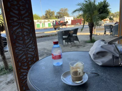 IMG_2208.jpeg
