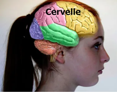 1657684199314.png