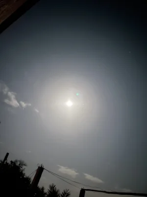 20C6E830-B52F-4EA9-93D4-7D836AD36280.jpeg