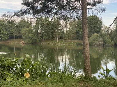 F0D720CC-E535-4B16-84BC-B68F3AA2D820.jpeg