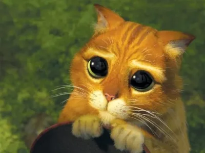 Le-chat-potte-de-shrek.jpg