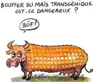 Dessin-bof2.jpg