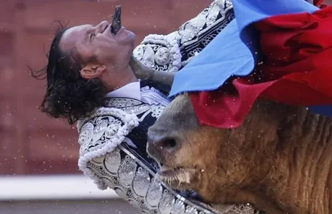 article_torero.jpg