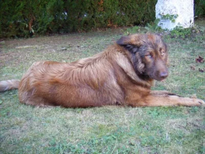 eydi.jpg