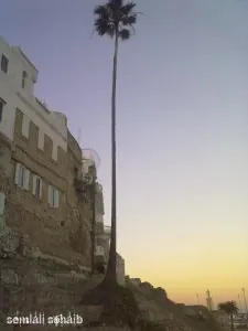 150181_486881361336671_108900102_n.jpg