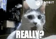 BpPpjj4YELsC2ppnZL.gif