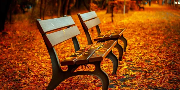 automne.jpg