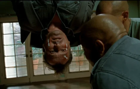 tbag-upside-down.png